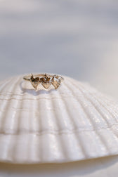 Sacred Hearts of the Holy Family Ring in Gold Vermeil